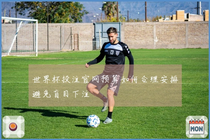 世界杯投注官网预算如何合理安排避免盲目下注